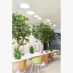 DT 274872515ED5W (2)