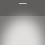 DT 4242420293W-B (2)