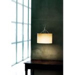 Flos Ray Suspension FH F59310 (3)